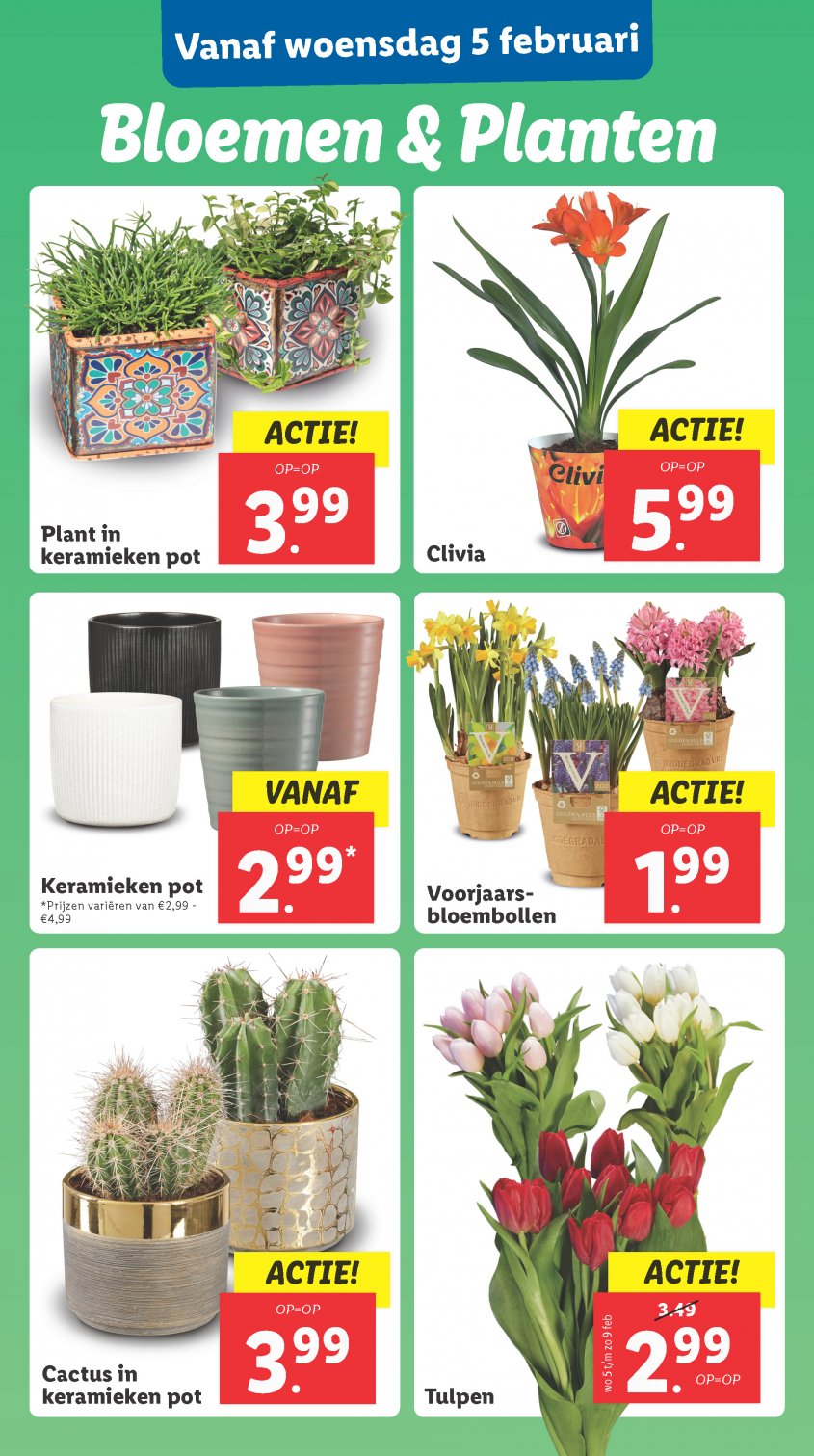 Lidl Aanbiedingen van 03-02-2025 pagina.13