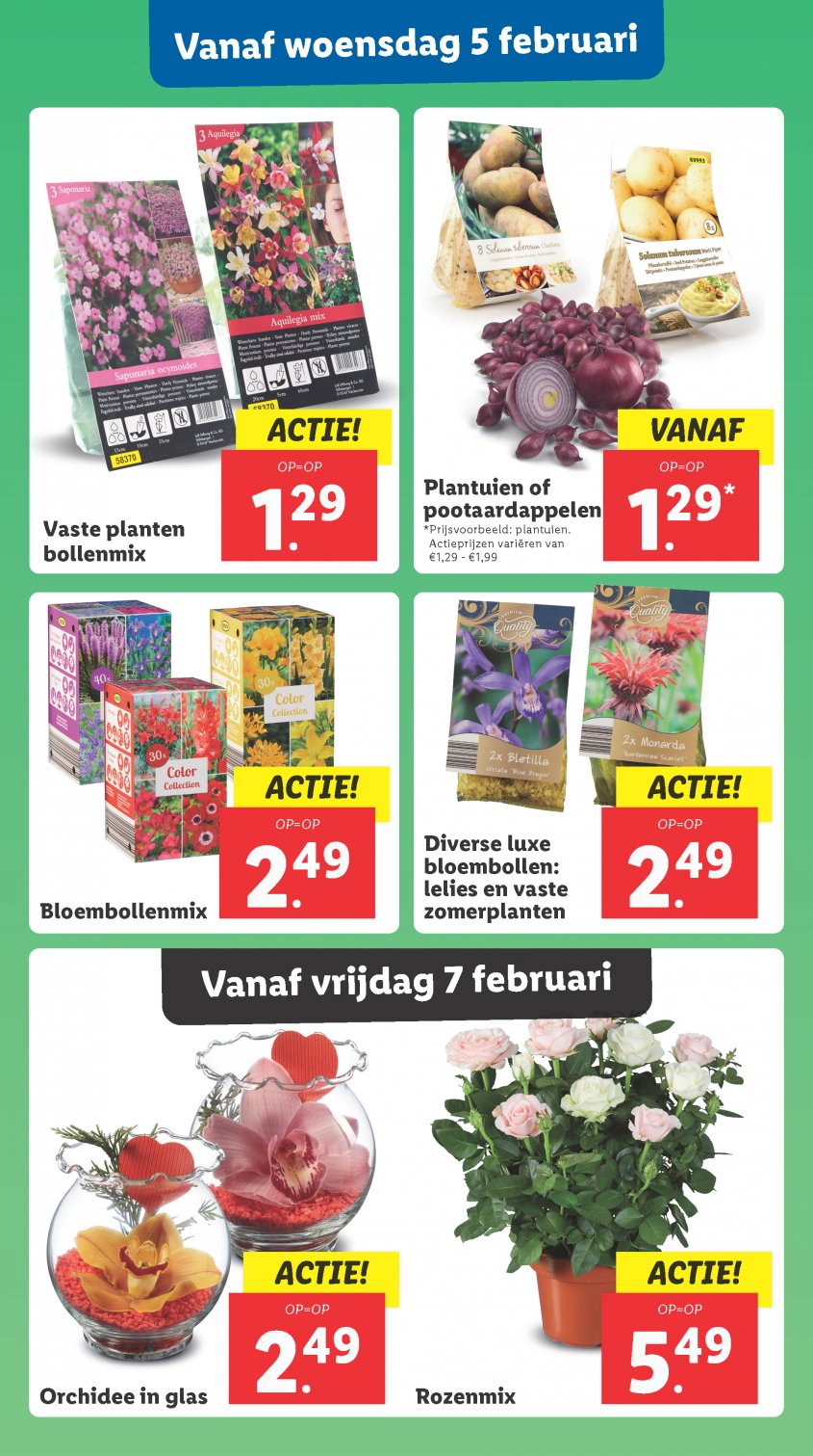 Lidl Aanbiedingen van 03-02-2025 pagina.14