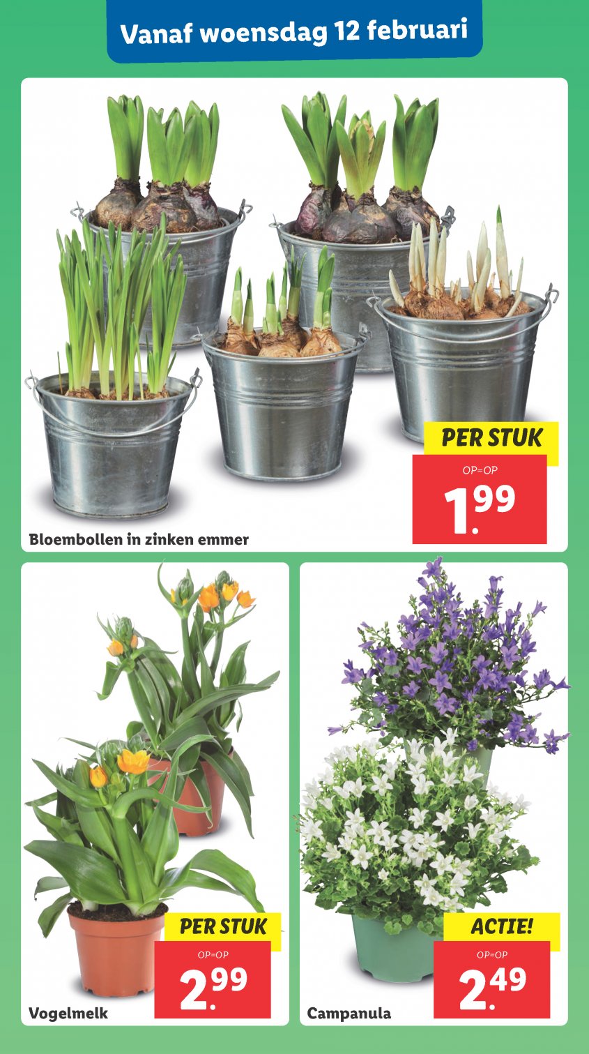 Lidl Aanbiedingen van 10-02-2025 pagina.24