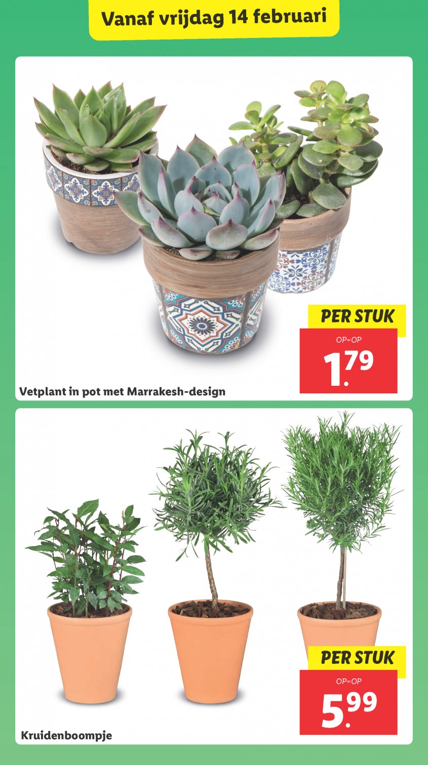 Lidl Aanbiedingen van 10-02-2025 pagina.25