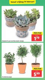 Lidl reclame folder week 07 pagina.25 