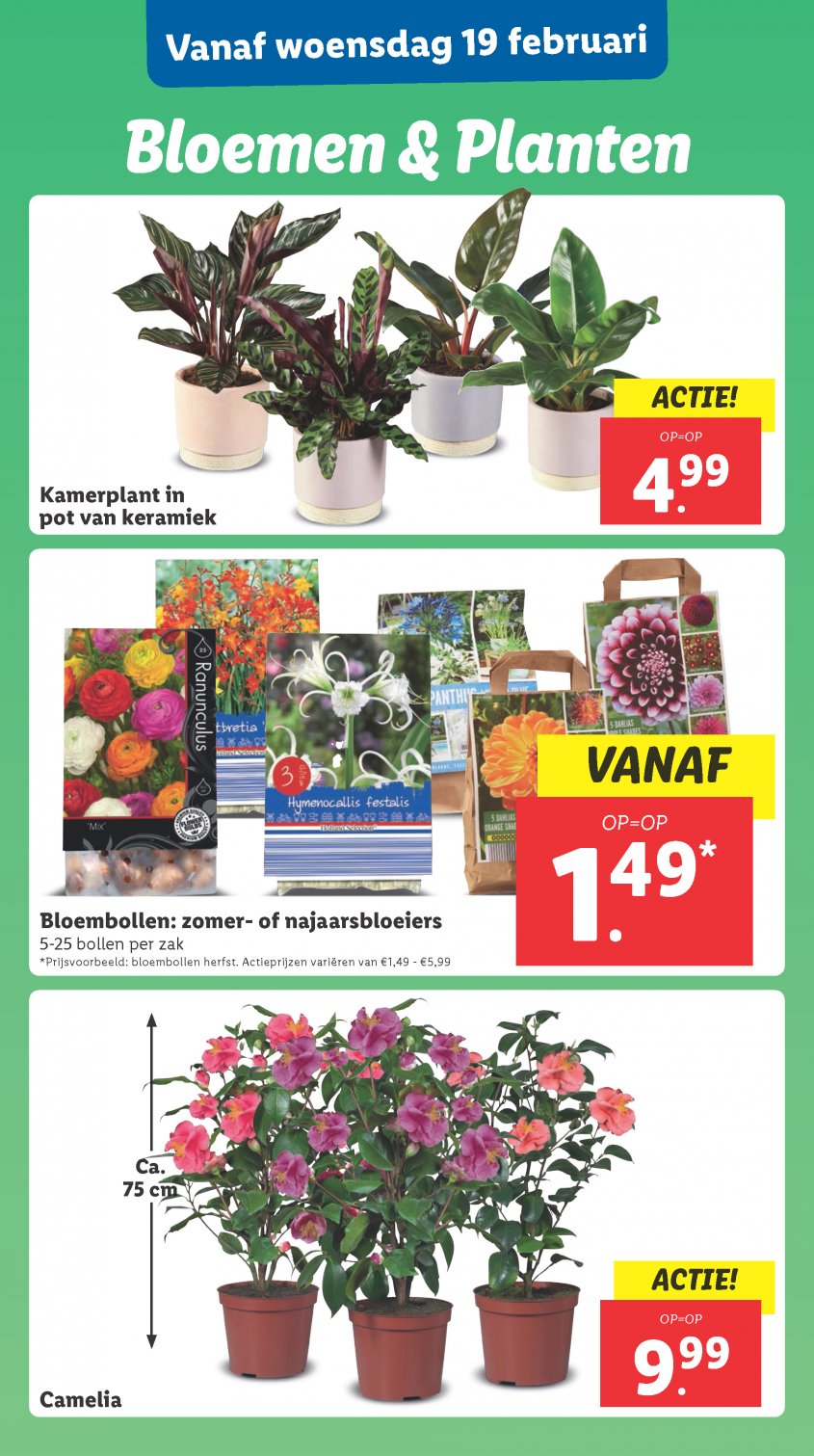 Lidl Aanbiedingen van 17-02-2025 pagina.22