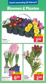 Lidl reclame folder week 09 pagina.21 