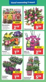 Lidl reclame folder week 10 pagina.15 