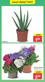 Lidl reclame folder week 10 pagina.16 