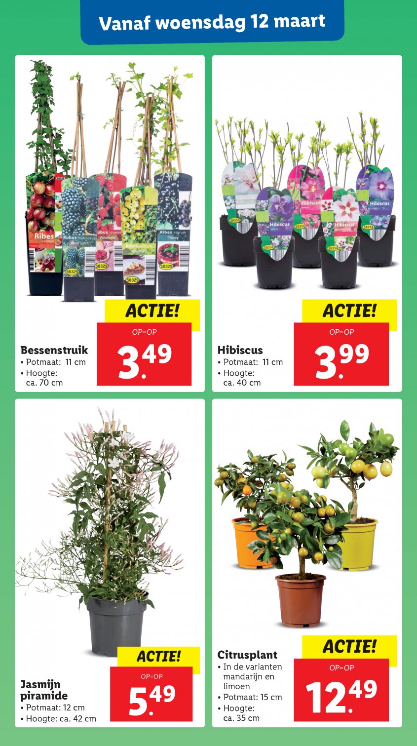 Lidl Aanbiedingen van 10-03-2025 pagina.18