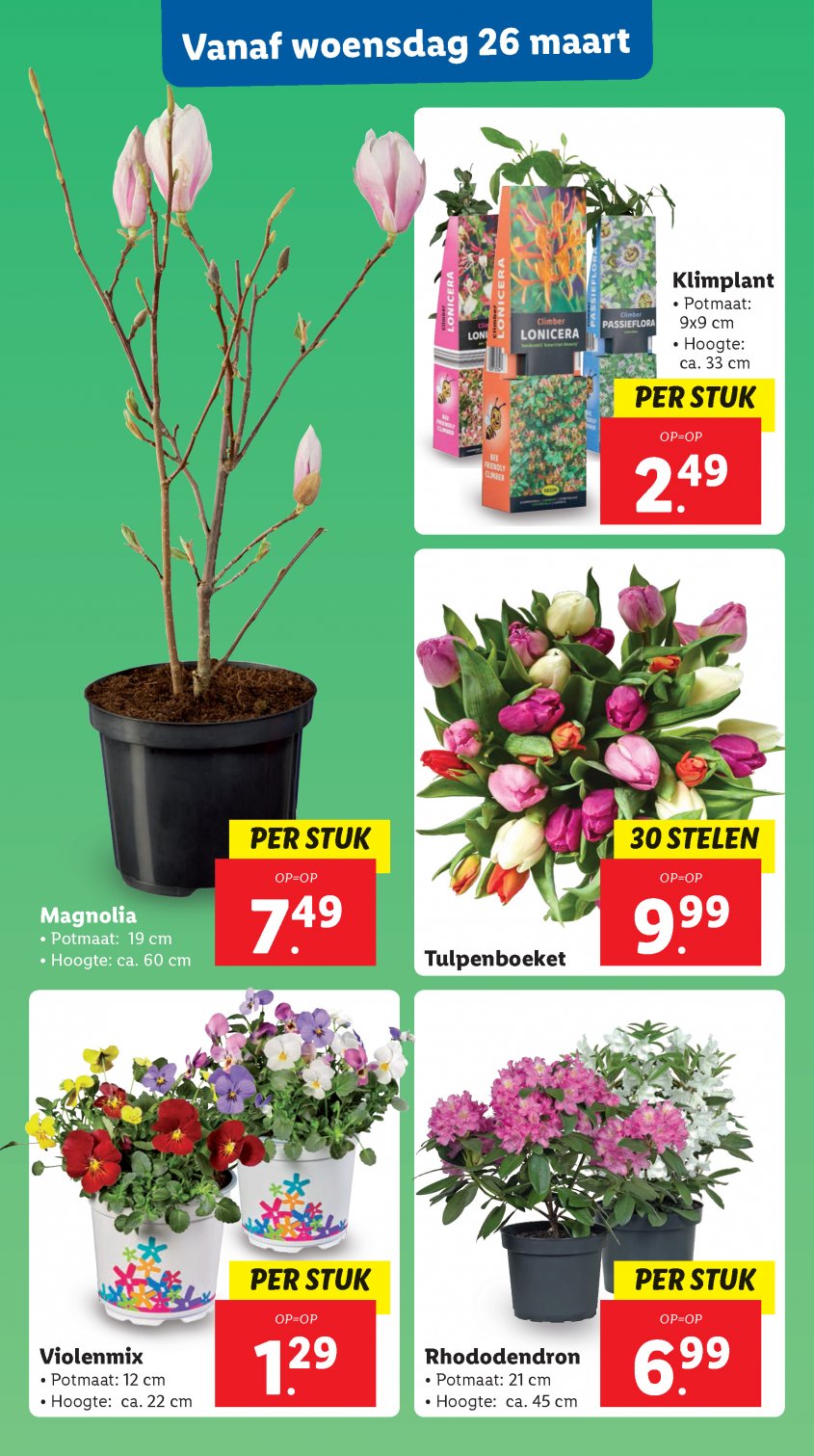 Lidl Aanbiedingen van 24-03-2025 pagina.24