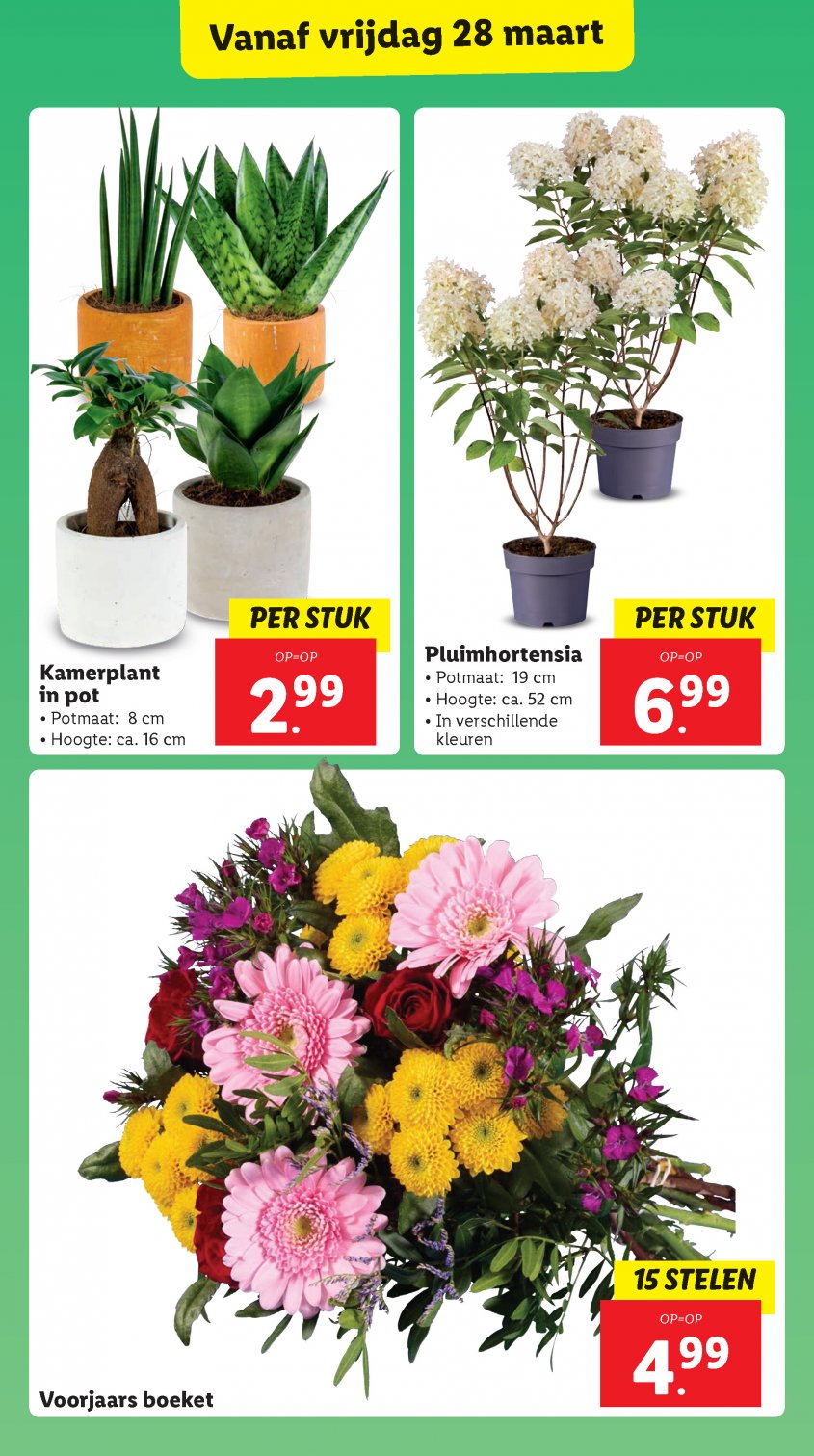 Lidl Aanbiedingen van 24-03-2025 pagina.25