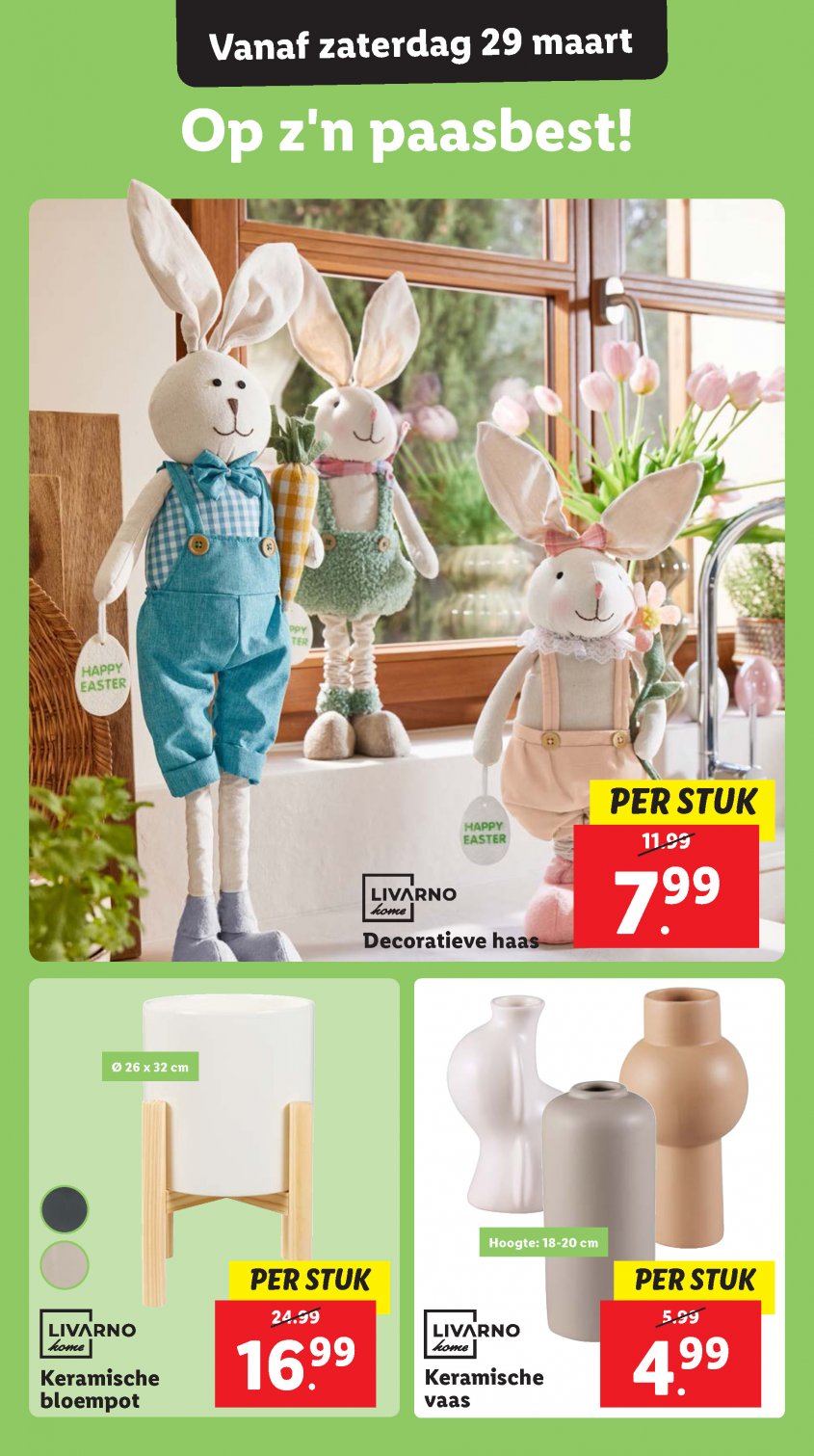 Lidl Aanbiedingen van 24-03-2025 pagina.47