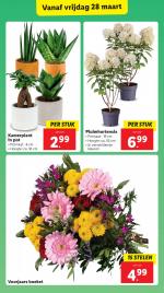 Lidl reclame folder week 13, pagina.25
