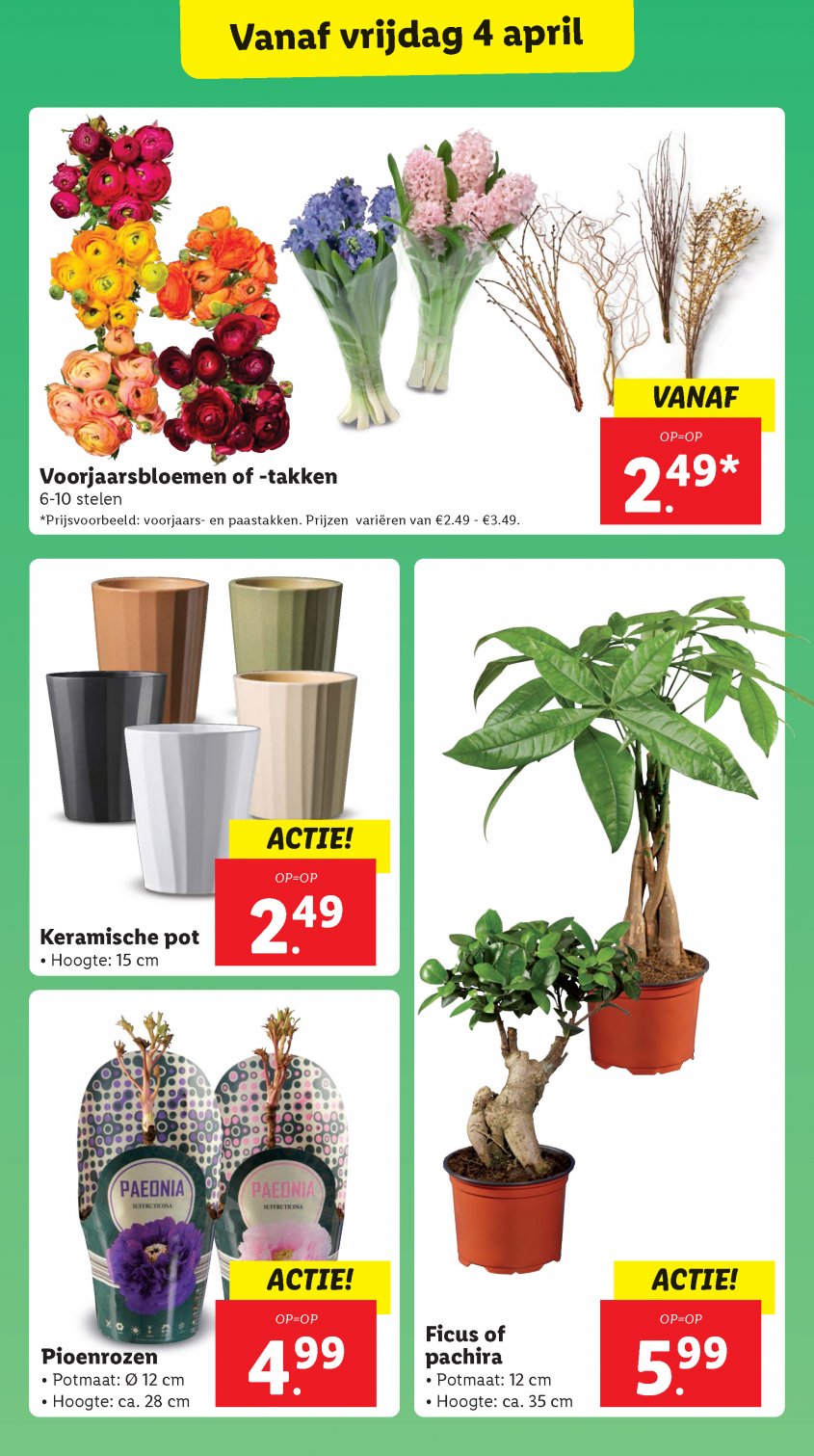 Lidl Aanbiedingen van 31-03-2025 pagina.18