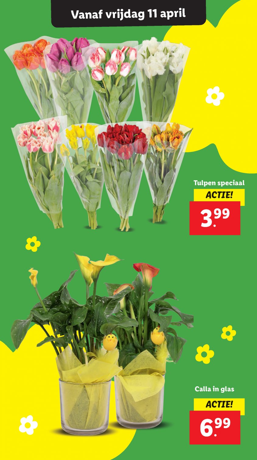 Lidl Aanbiedingen van 07-04-2025 pagina.43