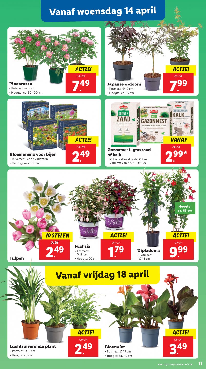 Lidl Aanbiedingen van 14-04-2025 pagina.11