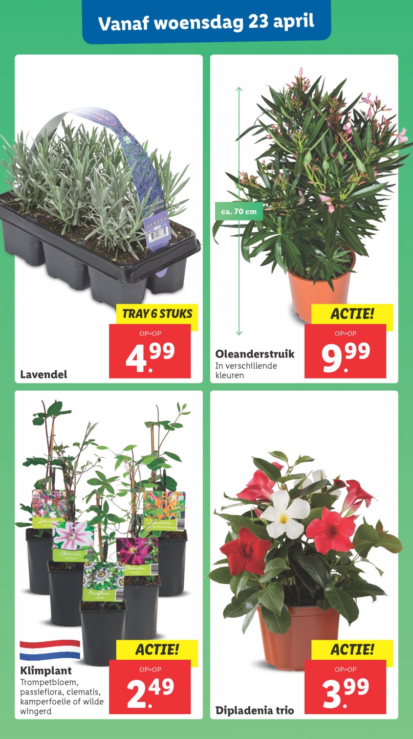 Lidl Aanbiedingen van 22-04-2025 pagina.28