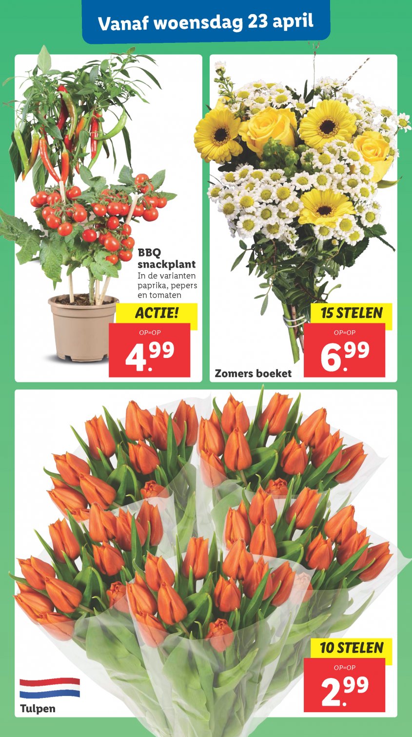 Lidl Aanbiedingen van 22-04-2025 pagina.29