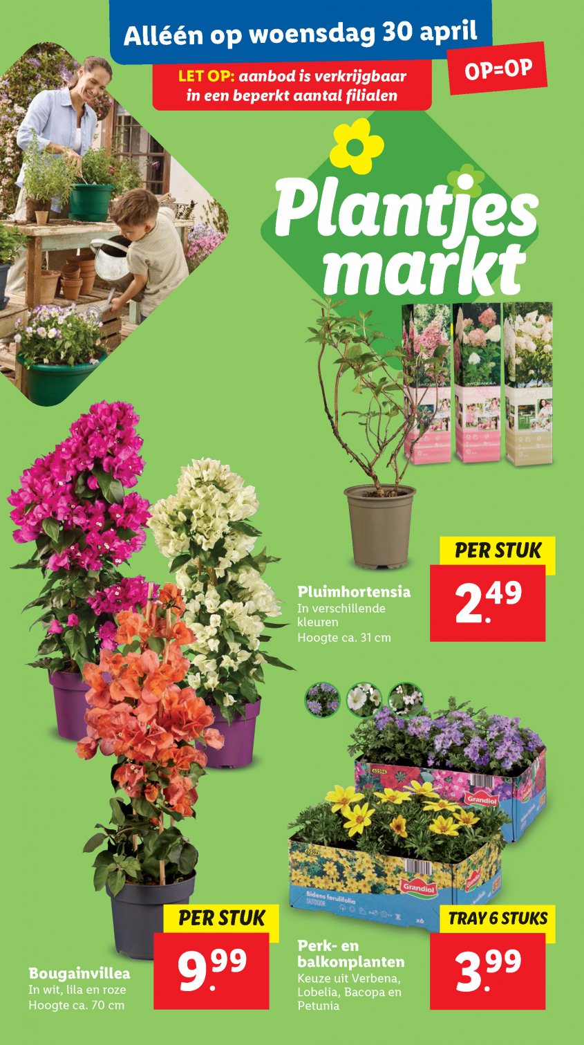 Lidl Aanbiedingen van 28-04-2025 pagina.31
