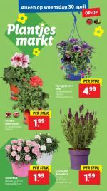 Lidl reclame folder week 18, pagina.27