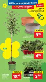 Lidl reclame folder week 18, pagina.29