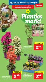 Lidl reclame folder week 18, pagina.31