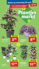 Lidl reclame folder week 18, pagina.32