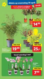Lidl reclame folder week 18, pagina.33