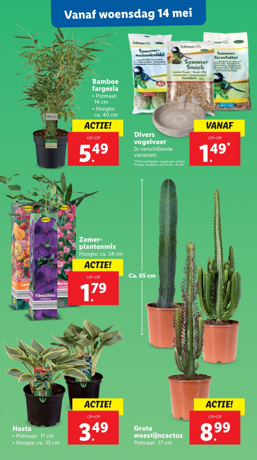 Lidl Aanbiedingen van 12-05-2025 pagina.18
