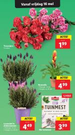 Lidl reclame folder week 20 pagina.19 