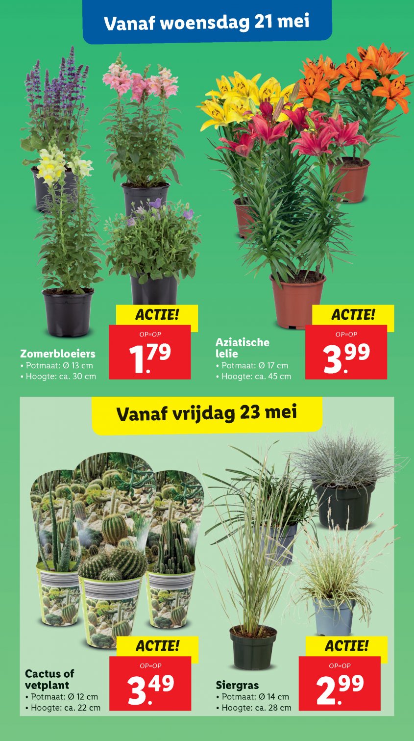 Lidl Aanbiedingen van 19-05-2025 pagina.19