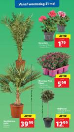 Lidl reclame folder week 21 pagina.18 