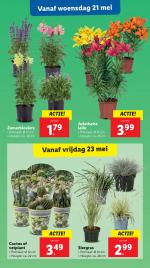Lidl reclame folder week 21 pagina.19 