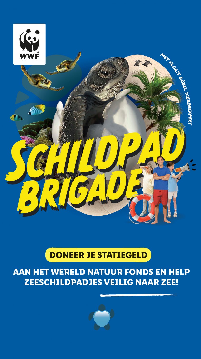 Lidl Aanbiedingen van 26-05-2025 pagina.19
