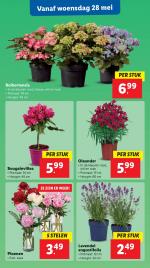Lidl reclame folder week 22 pagina.50 