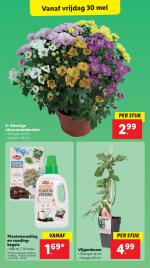 Lidl reclame folder week 22 pagina.51 