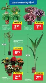 Lidl reclame folder week 23 pagina.16 