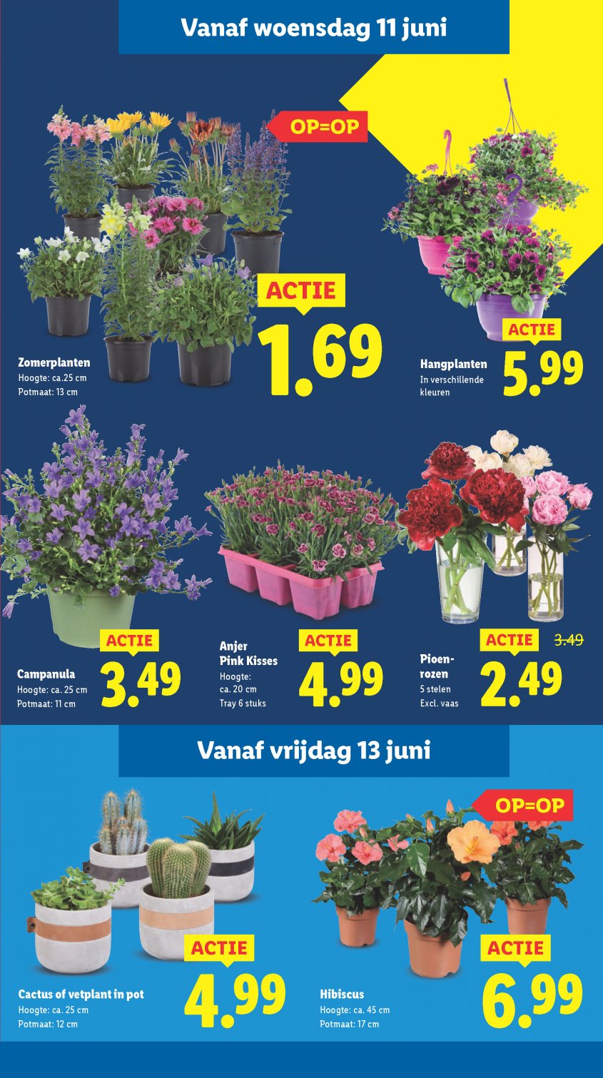 Lidl Aanbiedingen van 10-06-2025 pagina.16