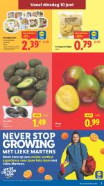 Lidl reclame folder week 24 pagina.3 