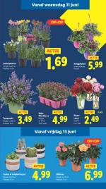 Lidl reclame folder week 24 pagina.16 