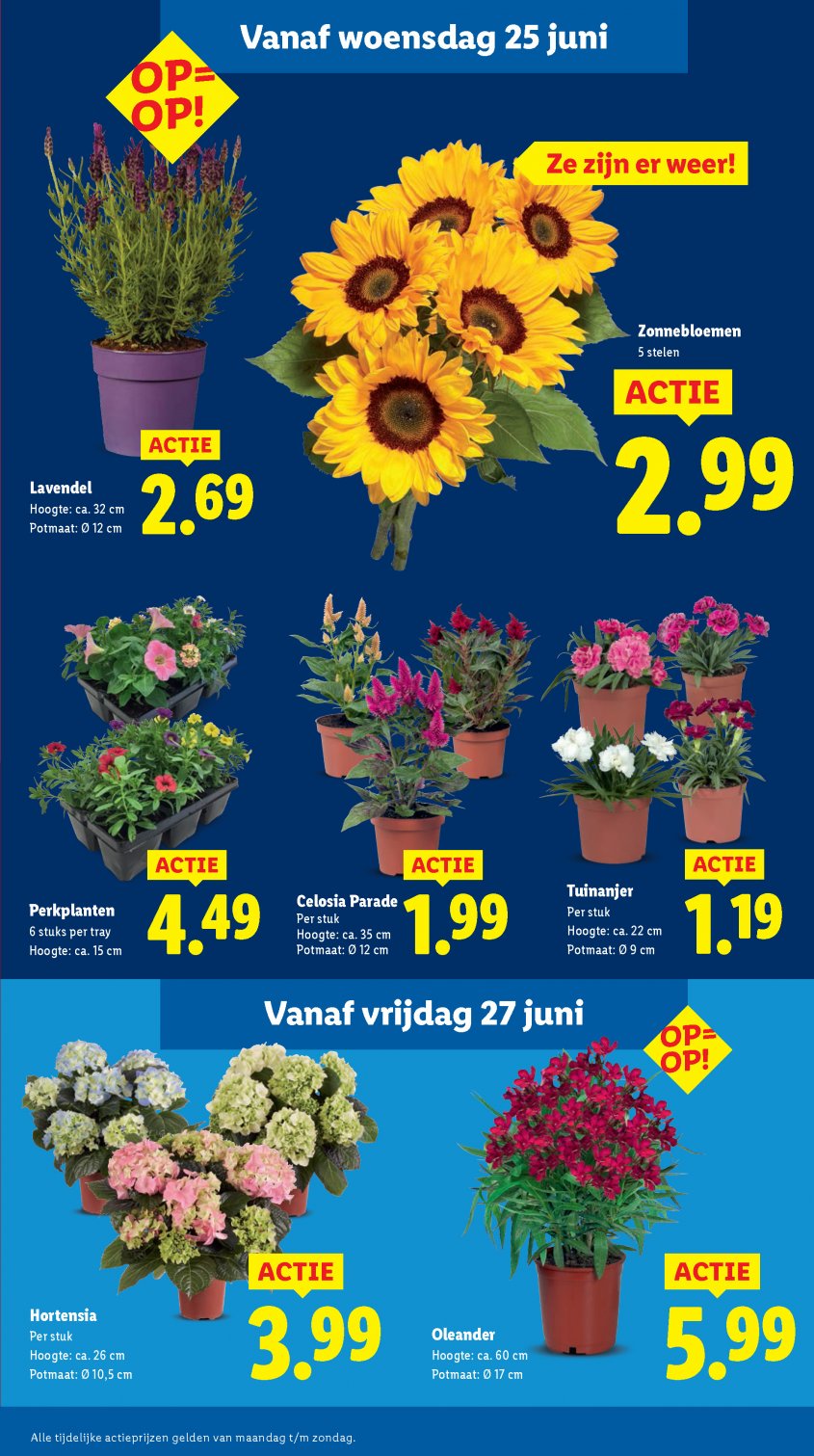 Lidl Aanbiedingen van 23-06-2025 pagina.12