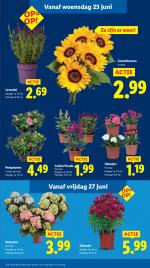 Lidl reclame folder week 26 pagina.12 