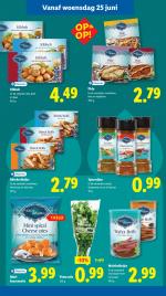 Lidl reclame folder week 26 pagina.15 
