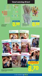 Lidl reclame folder week 26 pagina.29 