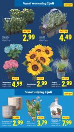 Lidl reclame folder week 27, pagina.15