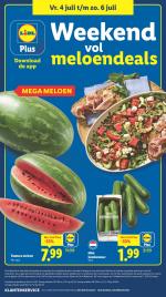 Lidl reclame folder week 27, pagina.42