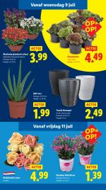 Lidl reclame folder week 28, pagina.12