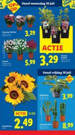 Lidl reclame folder week 29, pagina.15