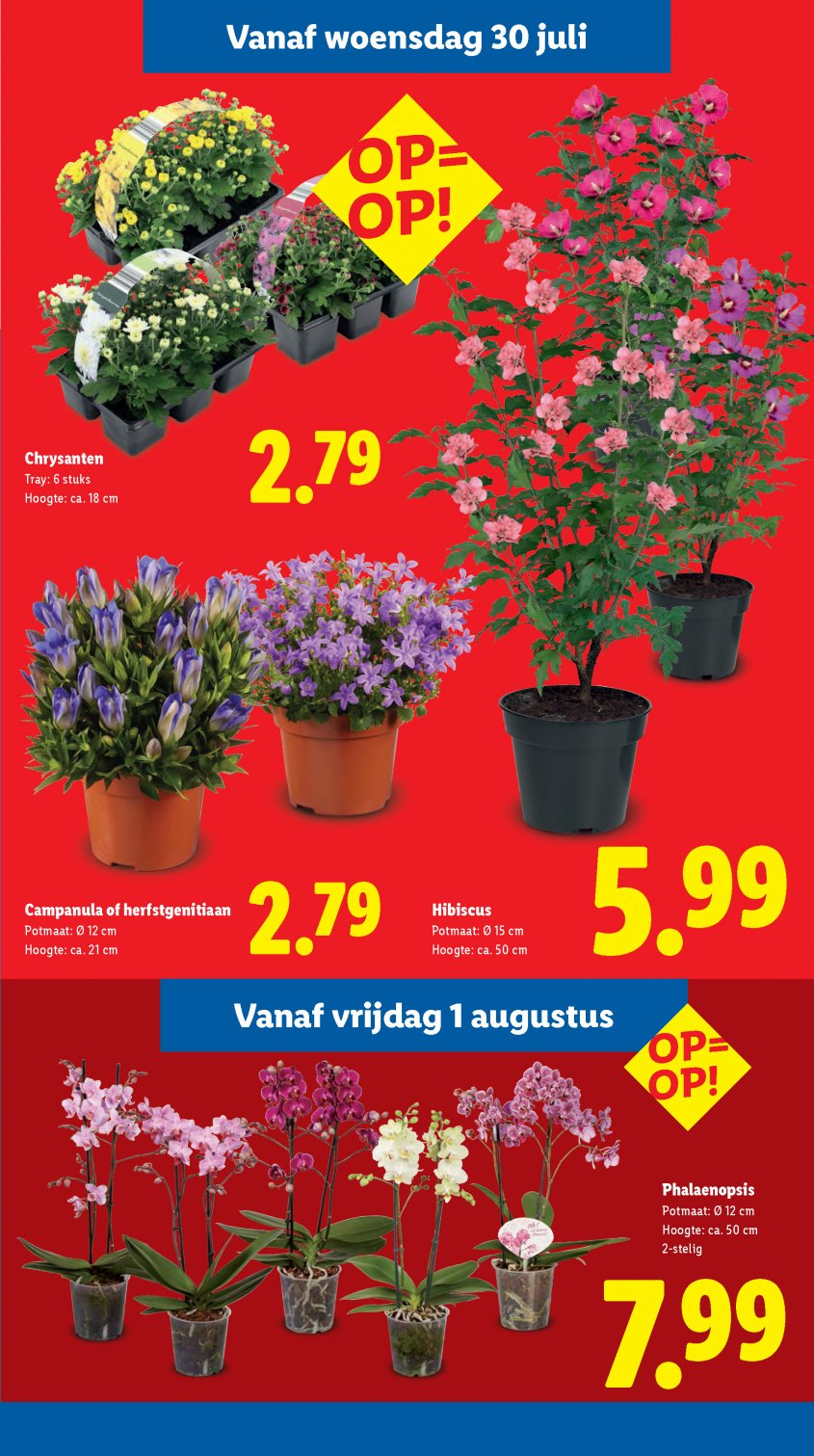 Lidl Aanbiedingen van 28-07-2025 pagina.12