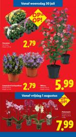 Lidl reclame folder week 31, pagina.12