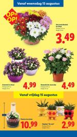 Lidl reclame folder week 33, pagina.17