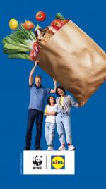 Lidl reclame folder week 33, pagina.37