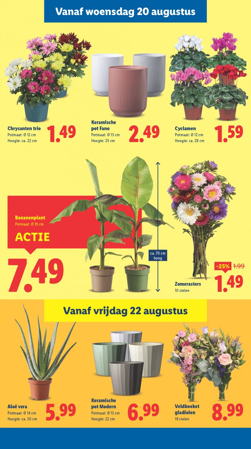 Lidl Aanbiedingen van 18-08-2025 pagina.16